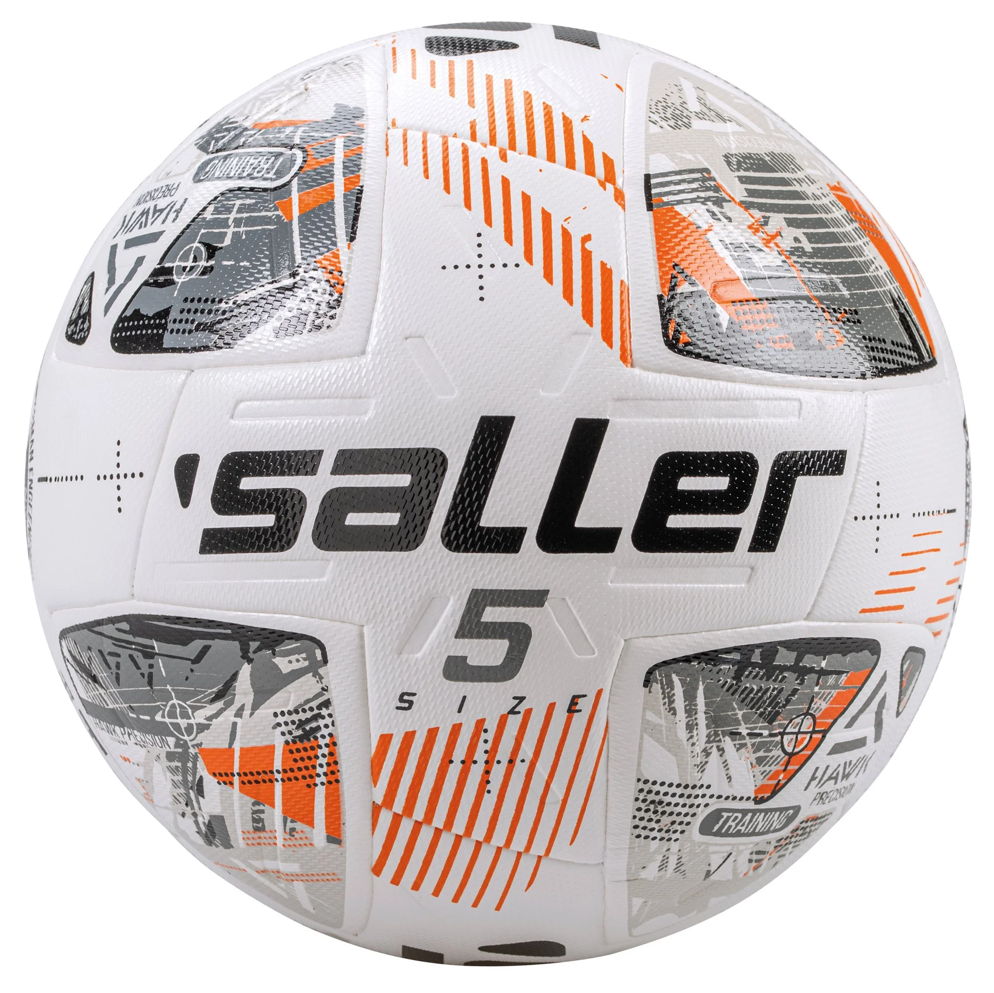 1643-trainingsball-hawk-training.jpg