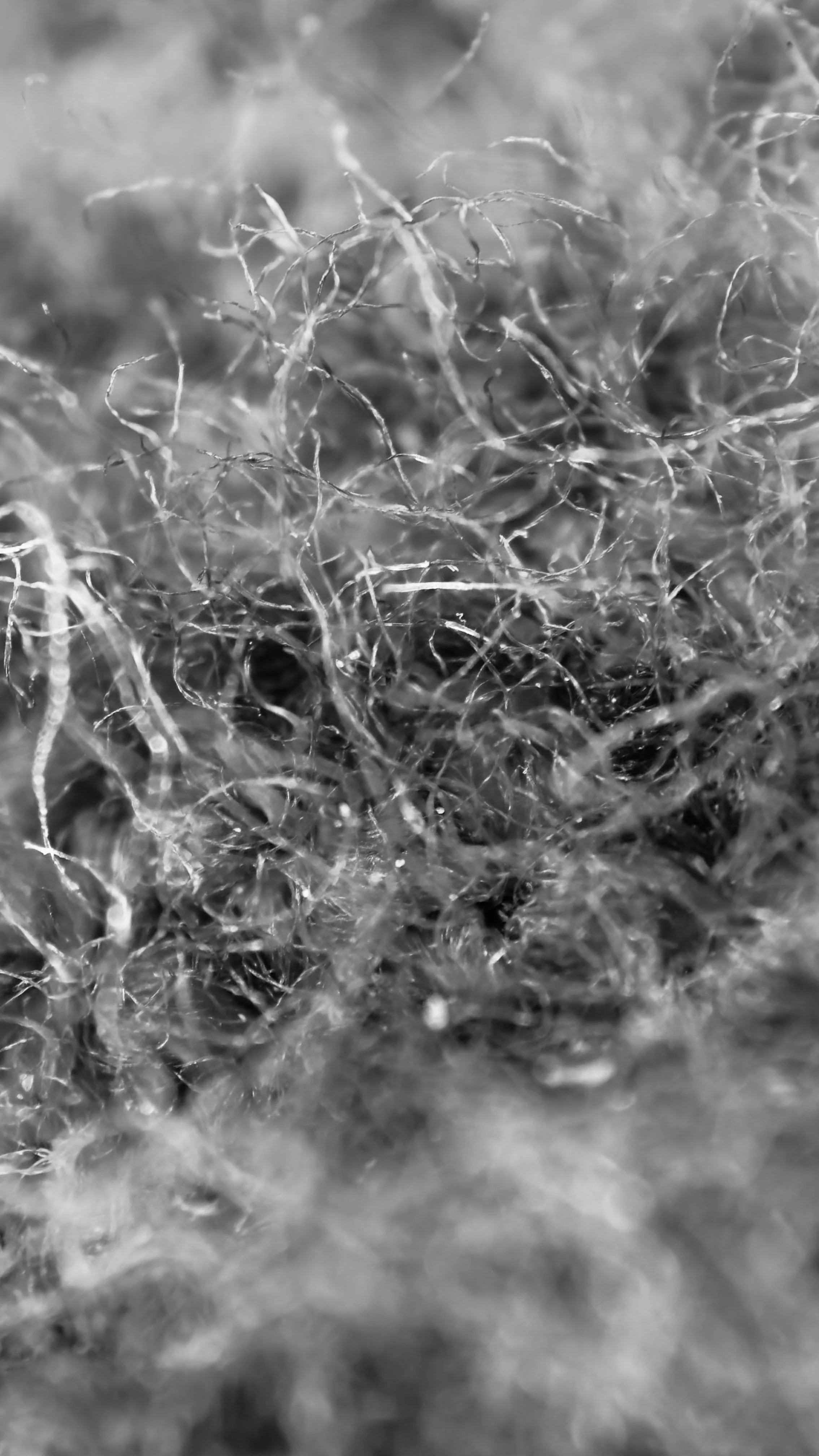 IMG_0871.jpeg