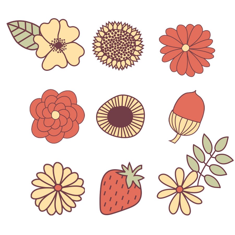 ODO bloem  illustraties.jpg