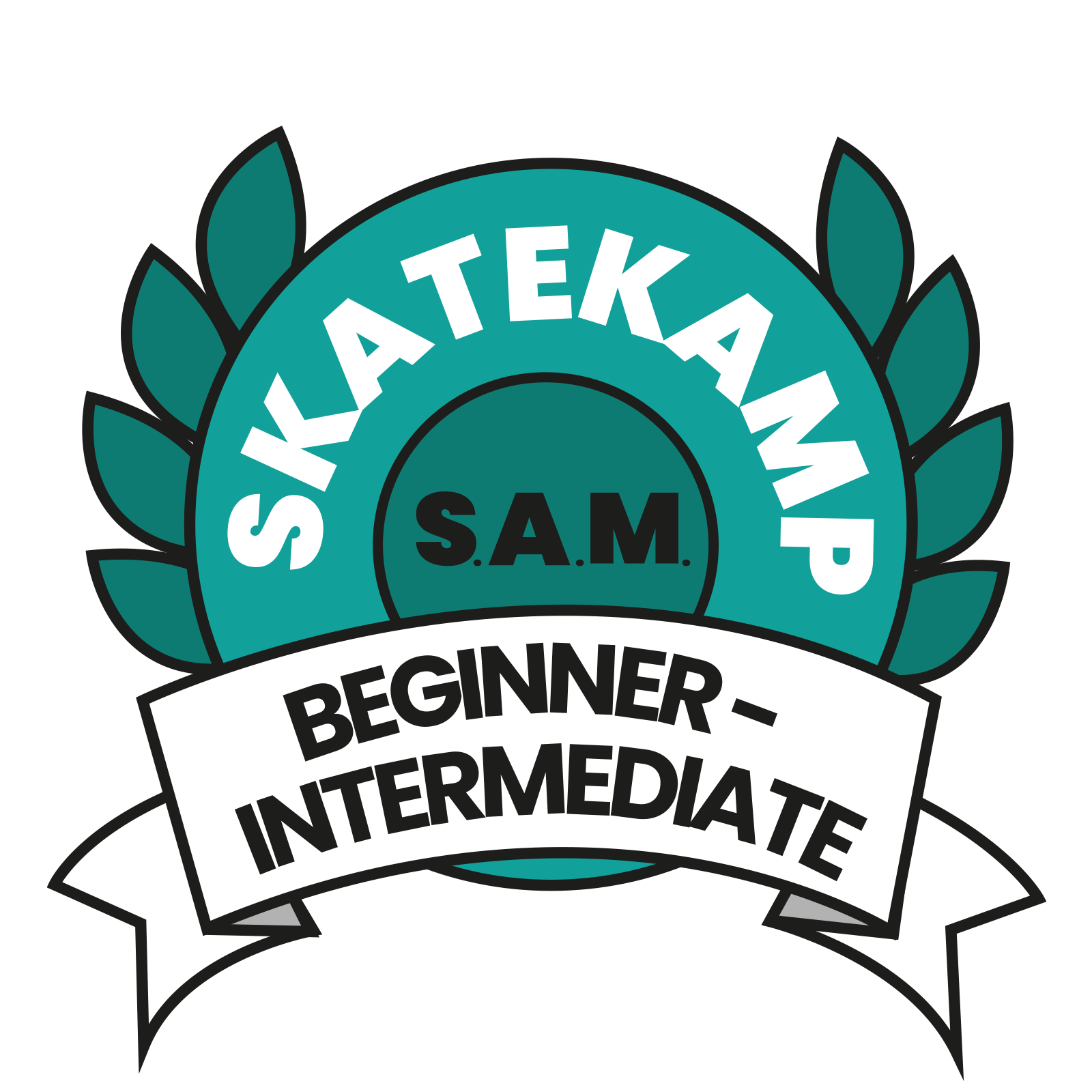 Skateboardkamp-beginner-mechelen.png