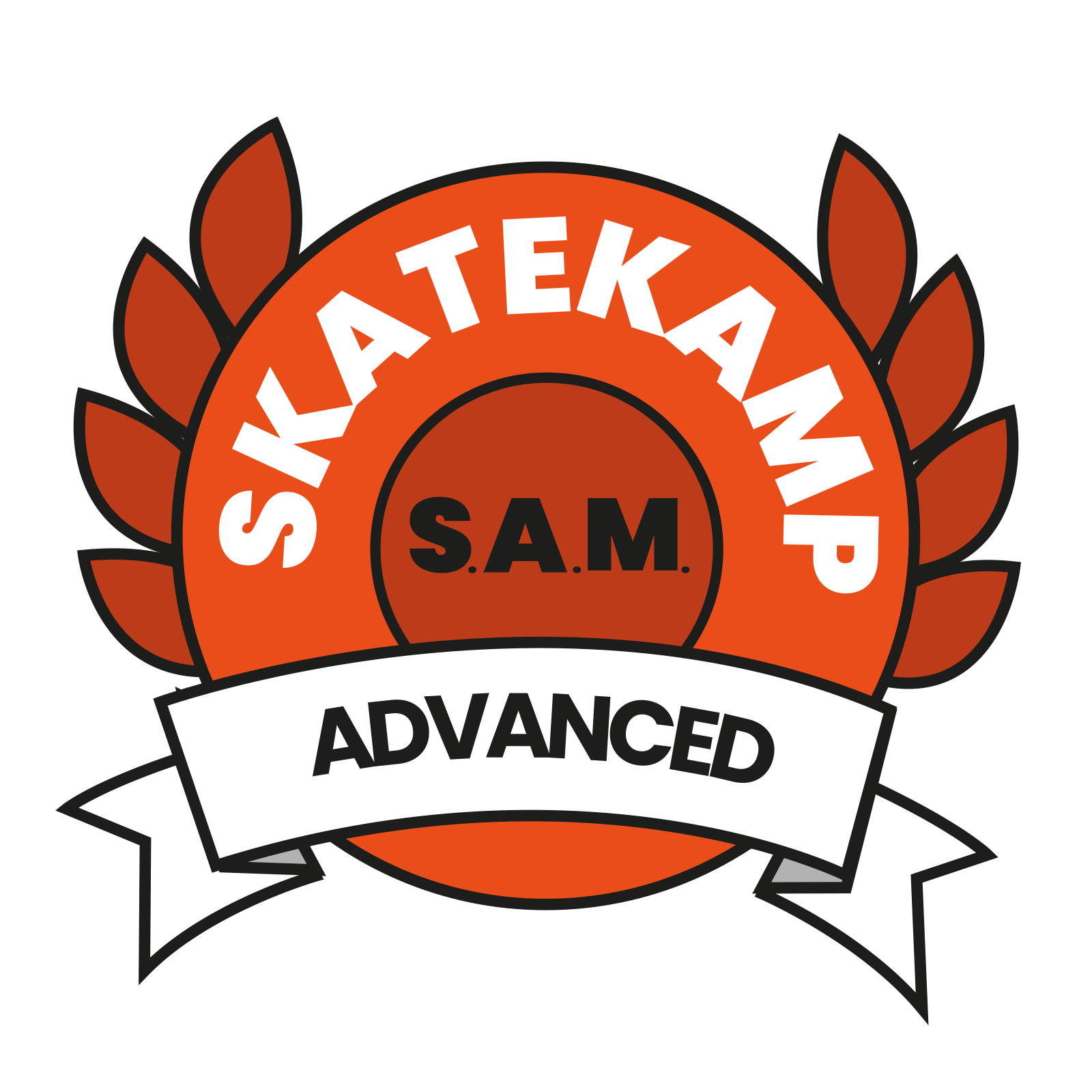 Skateboardkamp-advanced-mechelen.png