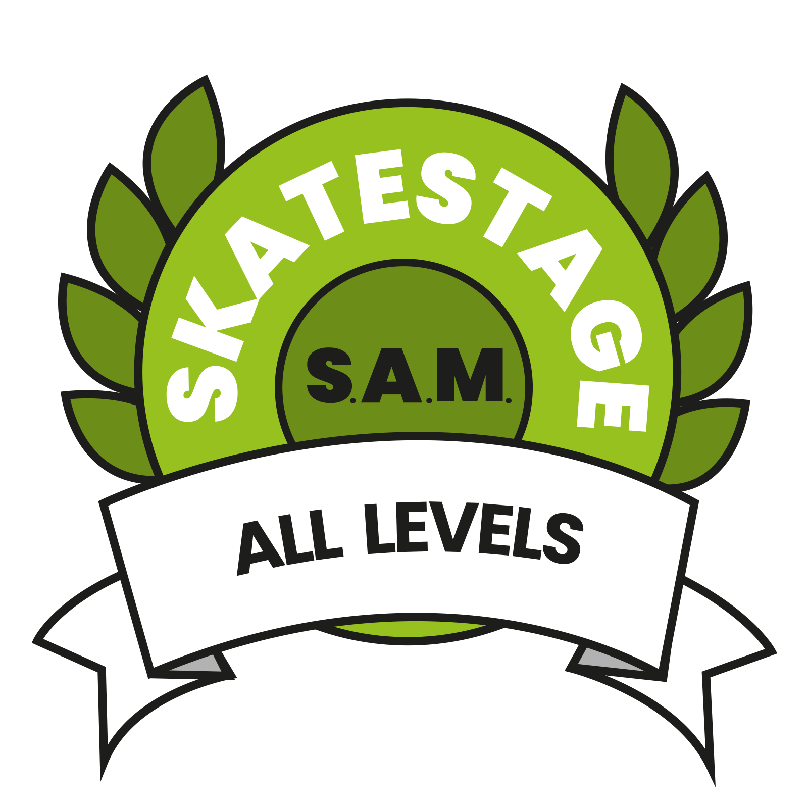 Skatestage-mechelen-.png