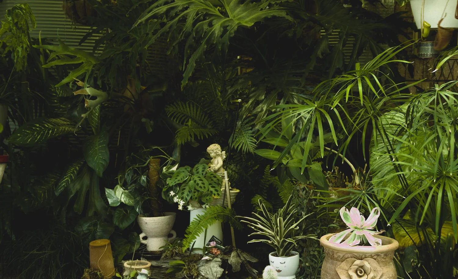 A lush collection of leafy plants, small statues, and decorative pots in a shaded garden corner.