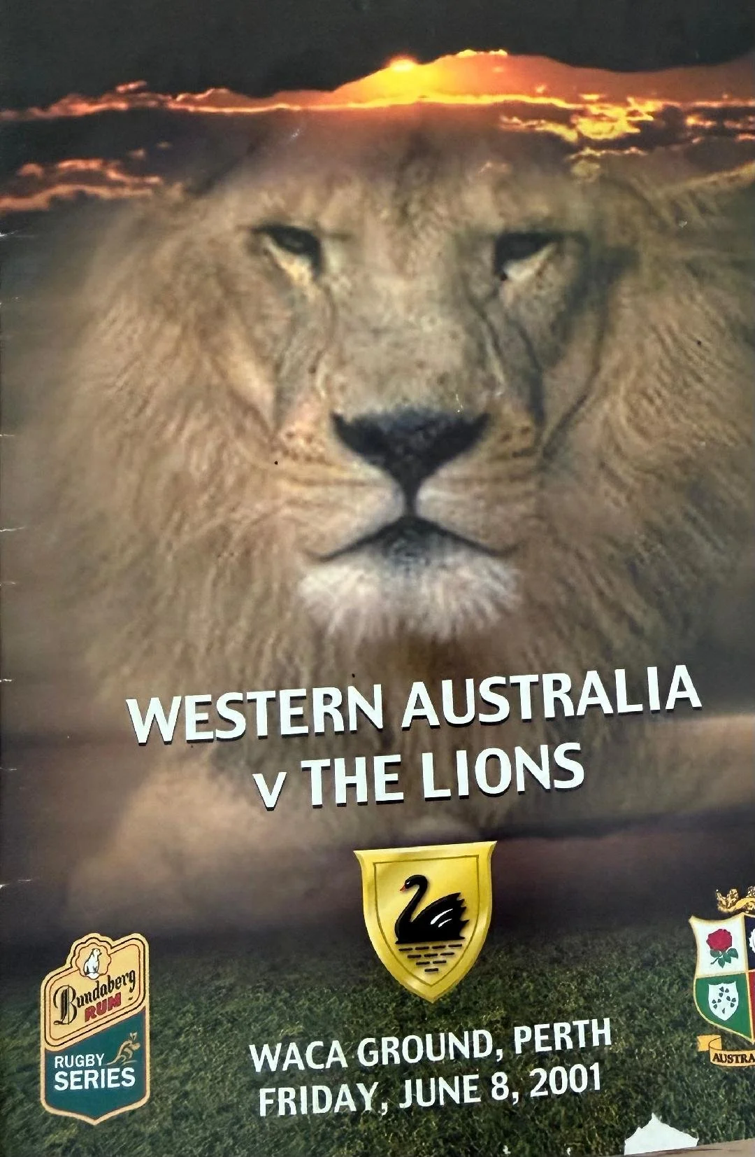 lions vs western Australia 2001.jpeg