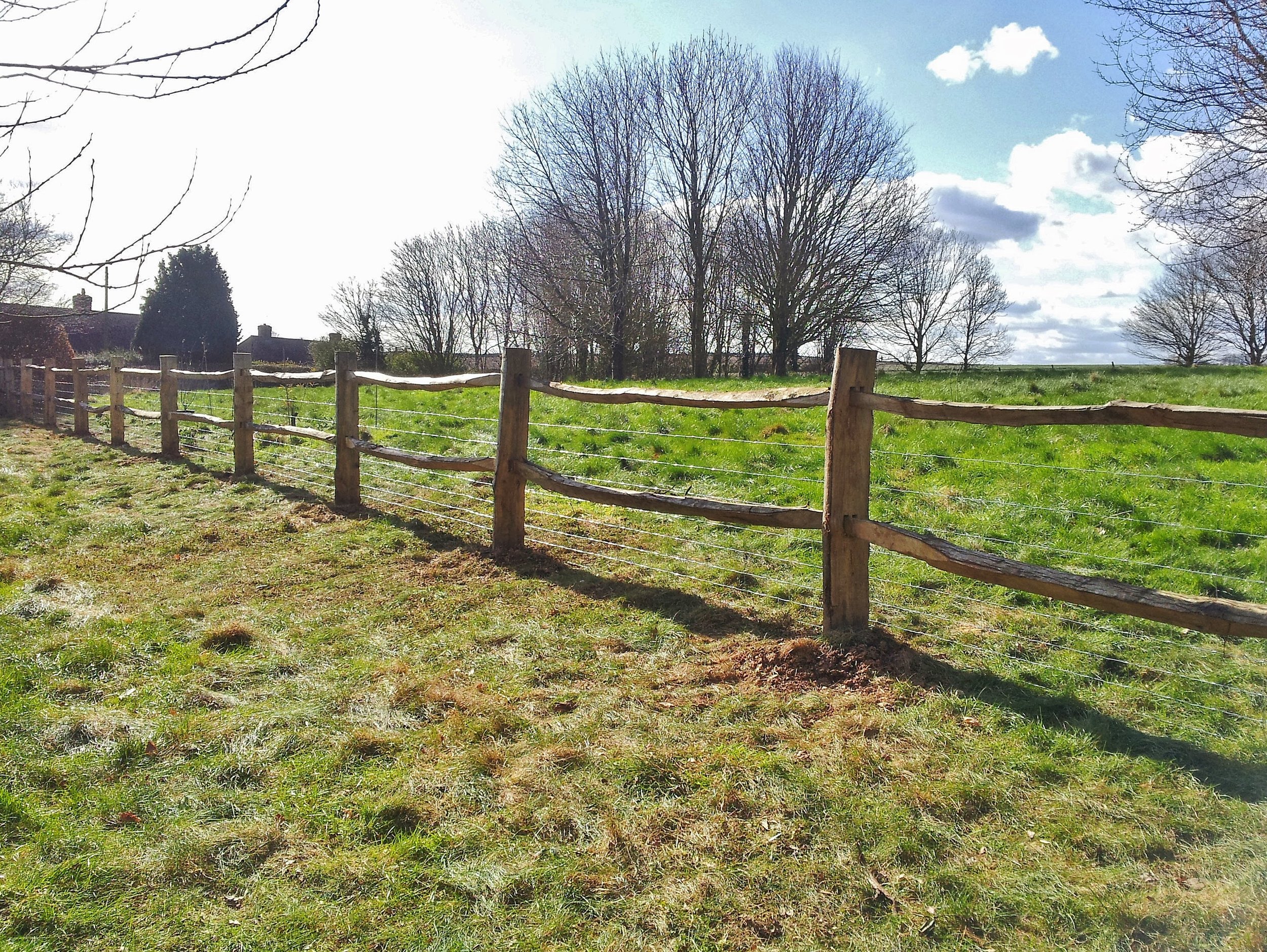 2013-03-12 14.37.29.jpg