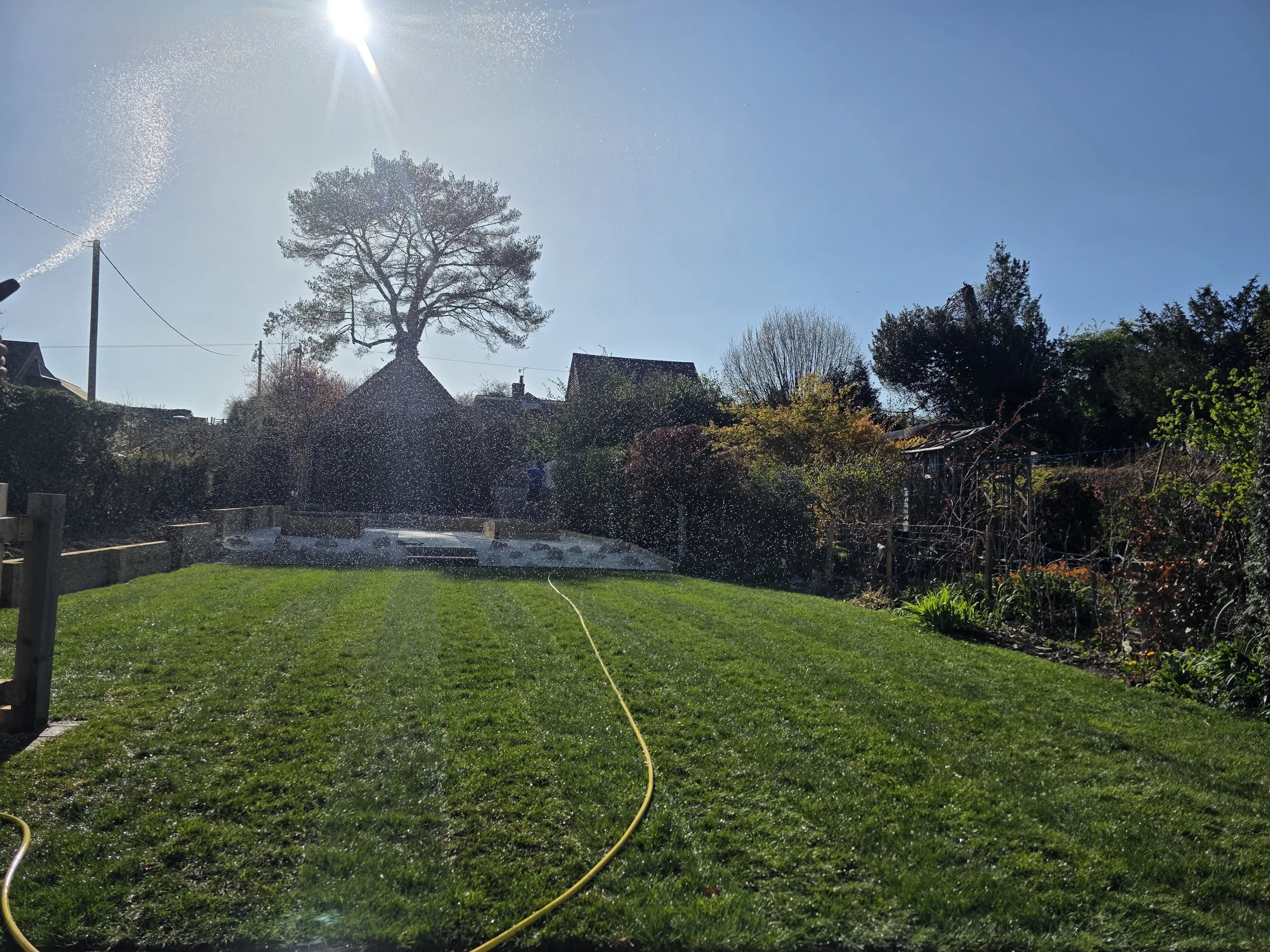 Turfing 20250409_163518.jpg