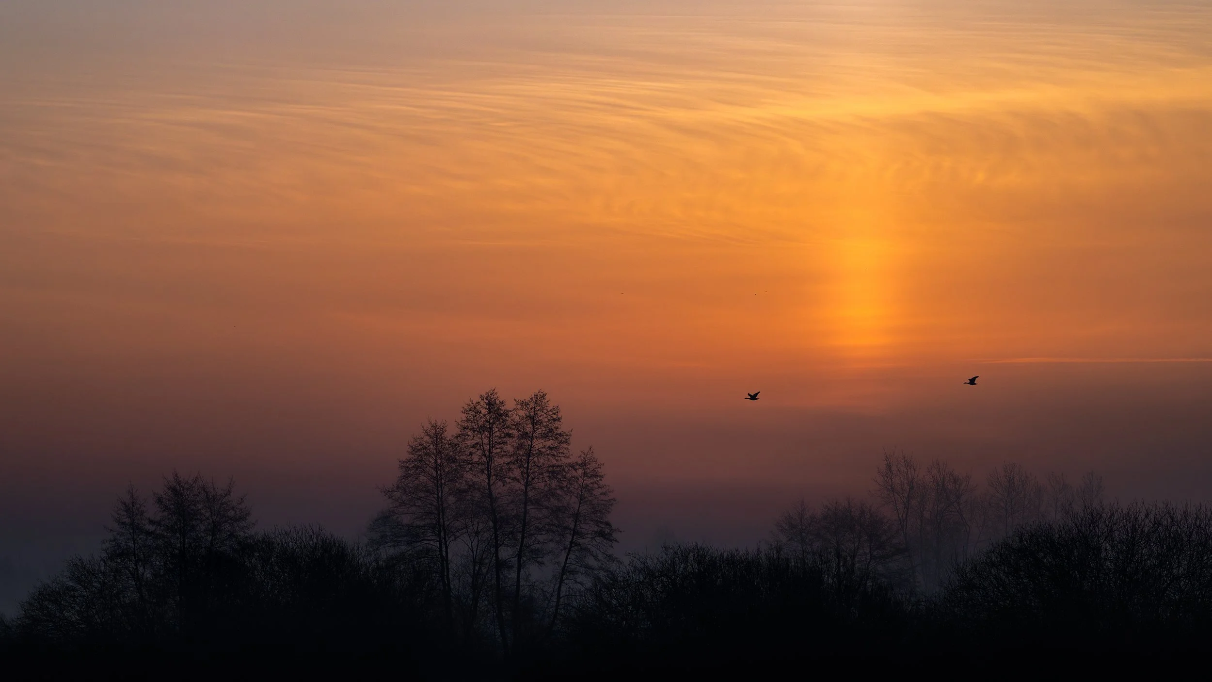 Early spring in central Poland