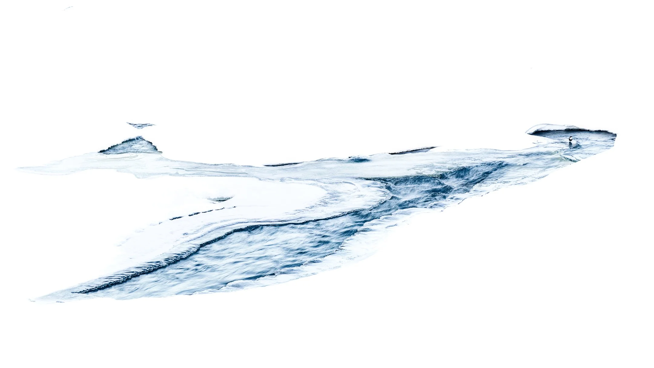 Julian Łoziński Lozinski Nature Photography Fotograf Przyrody 