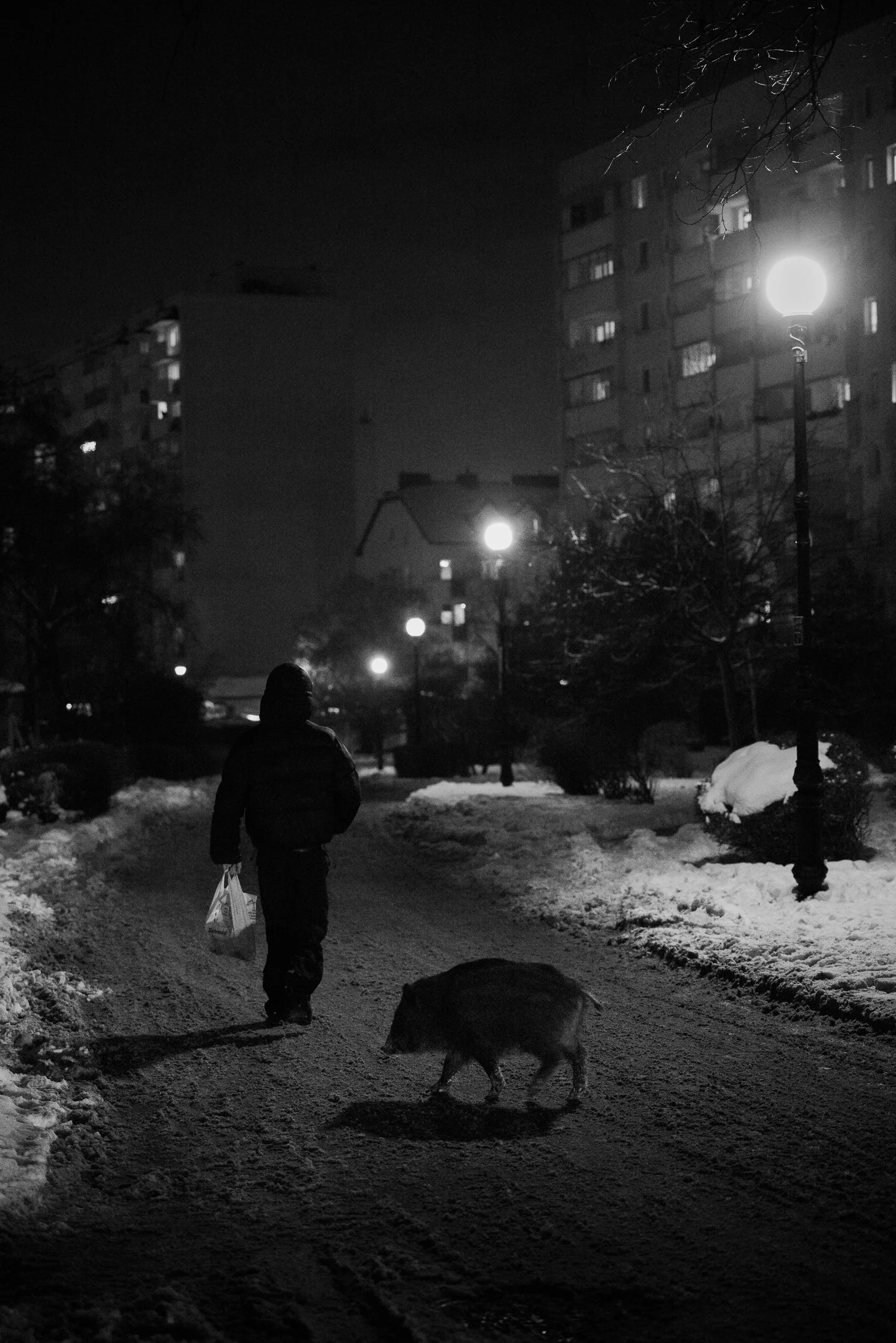 Julian Łoziński Lozinski Nature Photography Fotograf Przyrody 