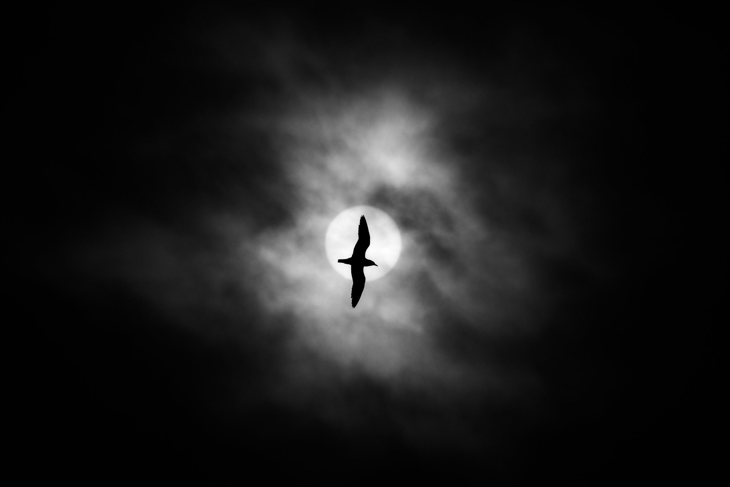 Julian Łoziński Lozinski Nature Photography Fotograf Przyrody 