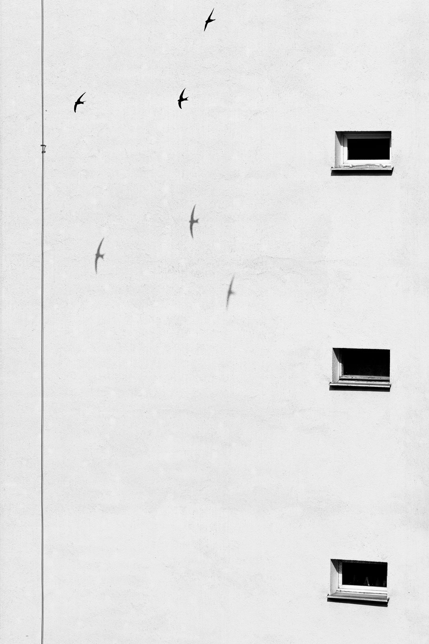 Julian Łoziński Lozinski Nature Photography Fotograf Przyrody 