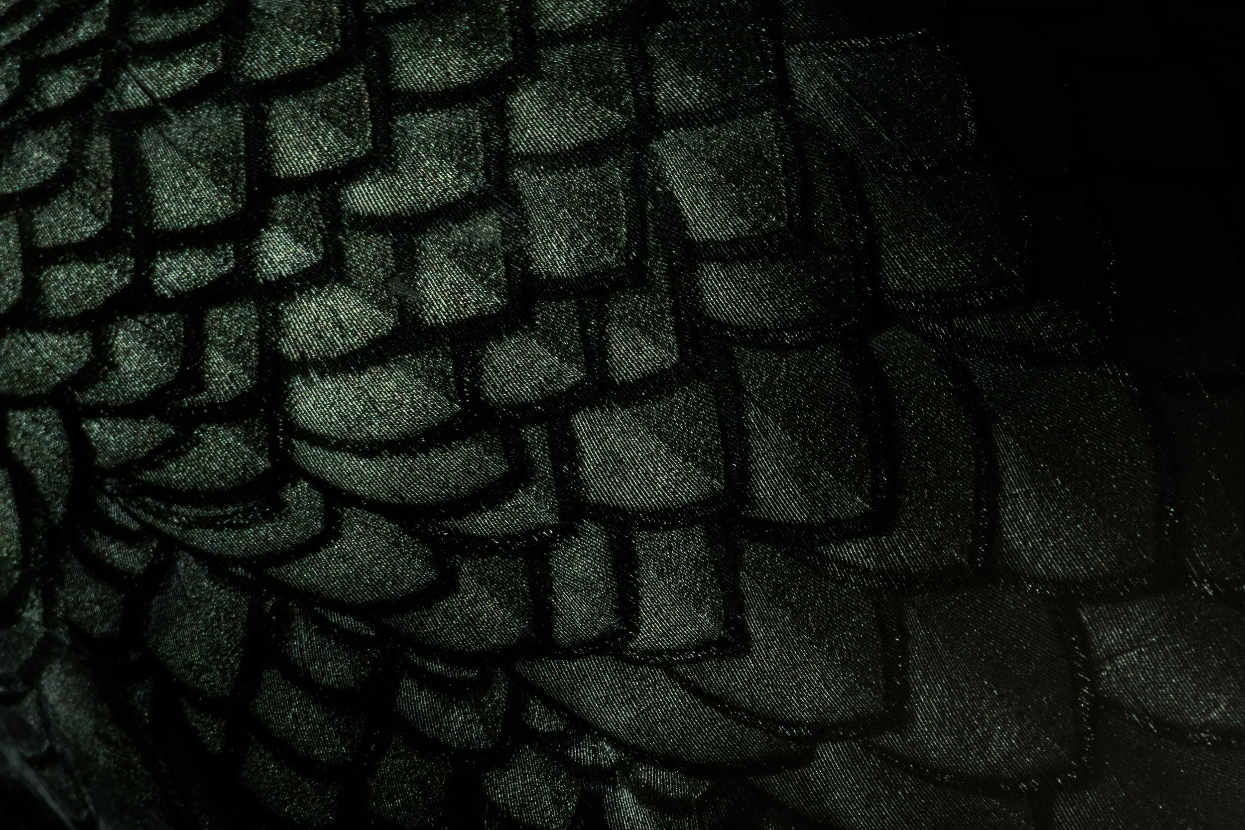 Julian Łoziński Lozinski Nature Photography Fotograf Przyrody 