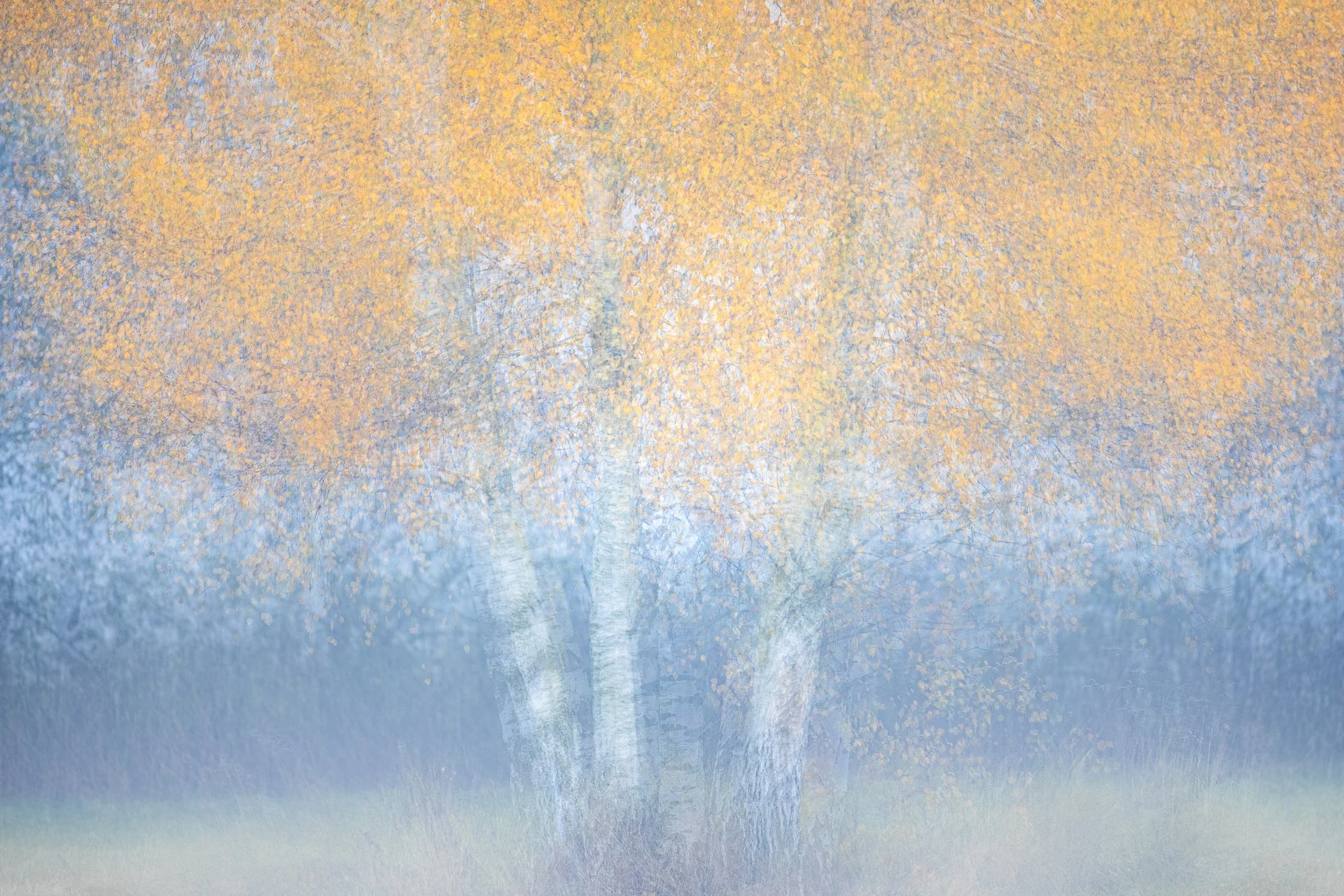 Julian Łoziński Lozinski Nature Photography Fotograf Przyrody 