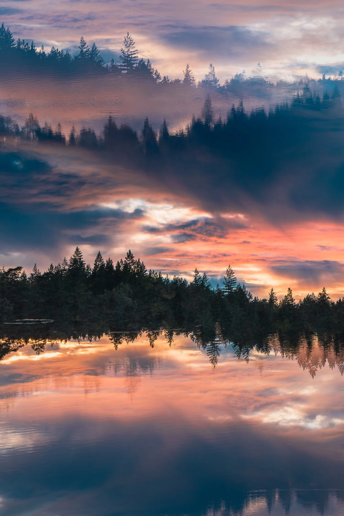 Julian Łoziński Lozinski Nature Photography Fotograf Przyrody 