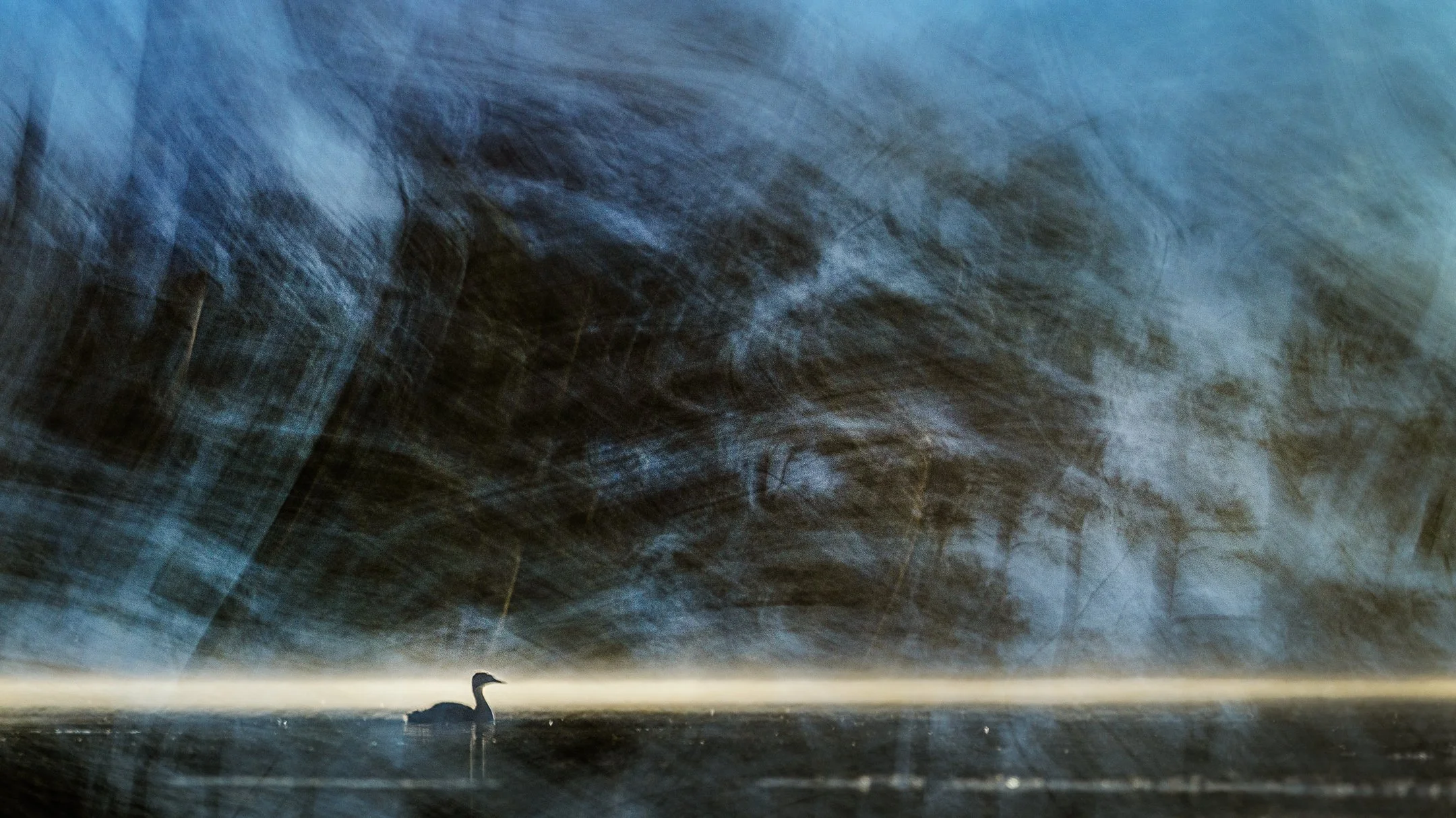 Julian Łoziński Lozinski Nature Photography Fotograf Przyrody 