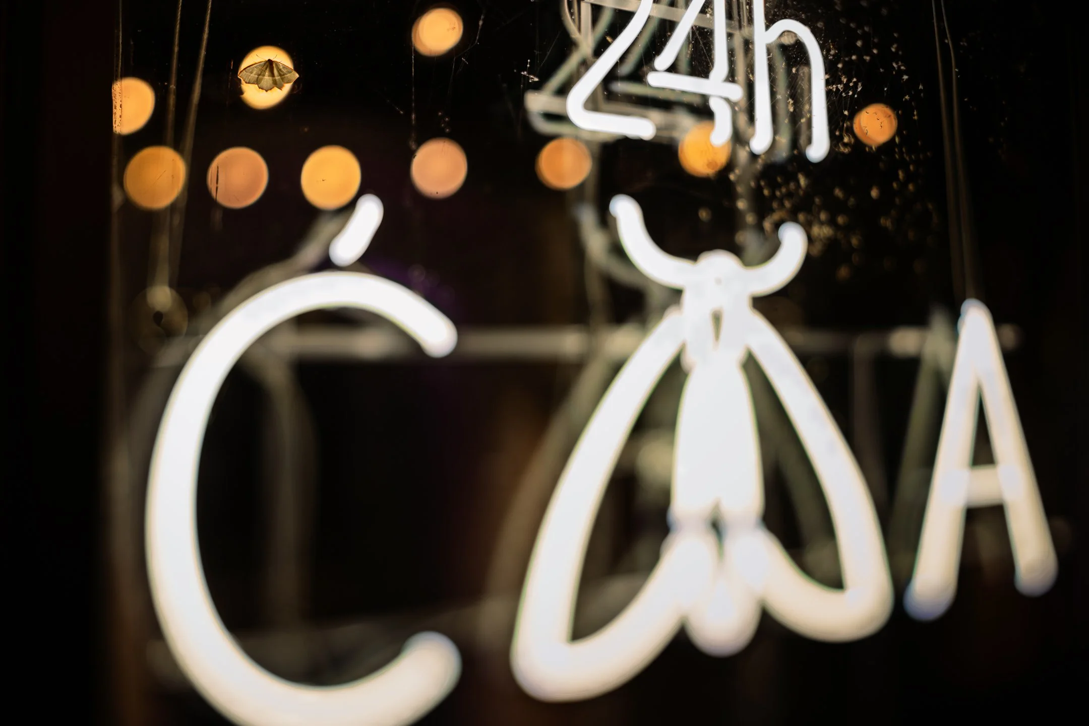 Julian Łoziński Lozinski Nature Photography Fotograf Przyrody 