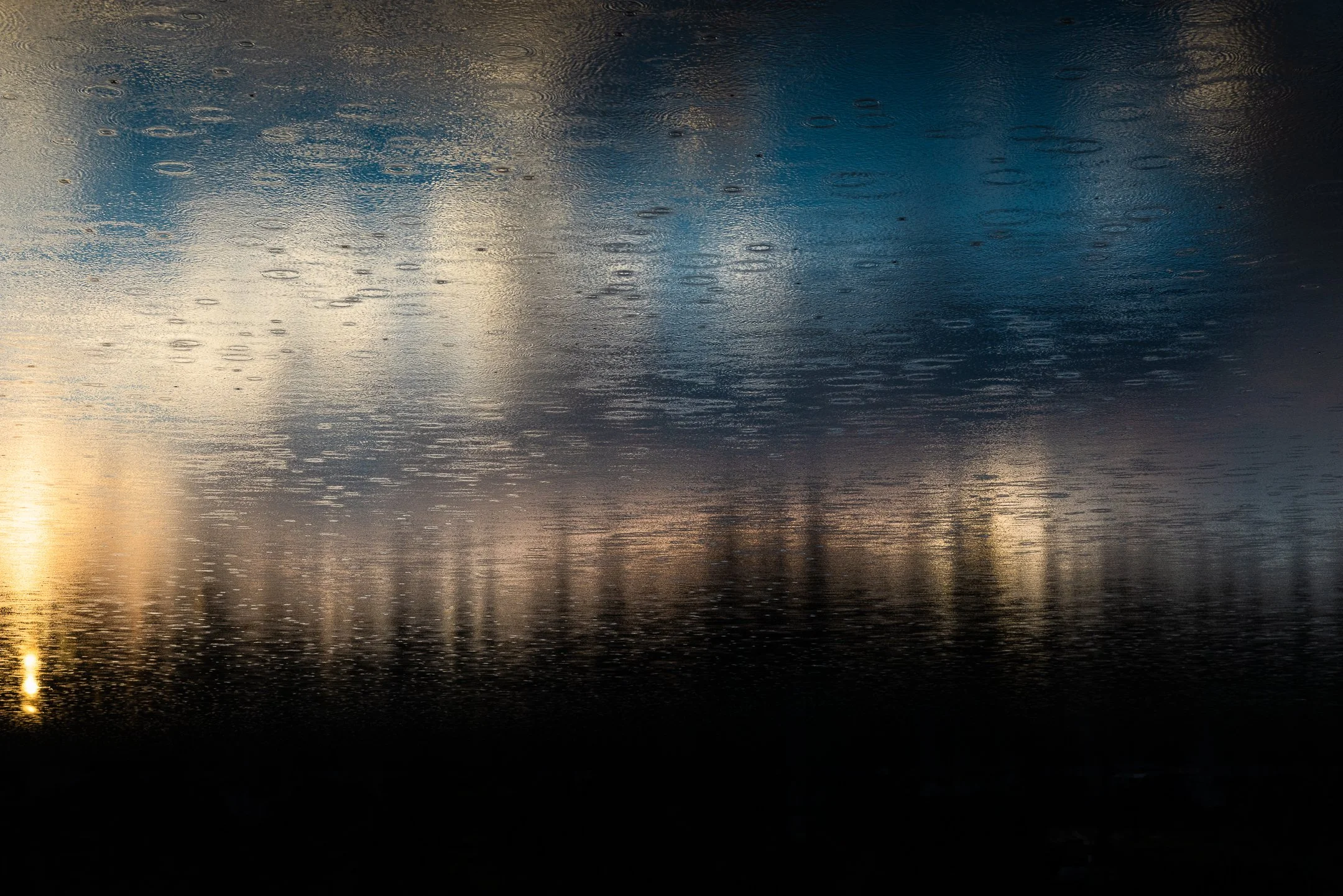 Julian Łoziński Lozinski Nature Photography Fotograf Przyrody 