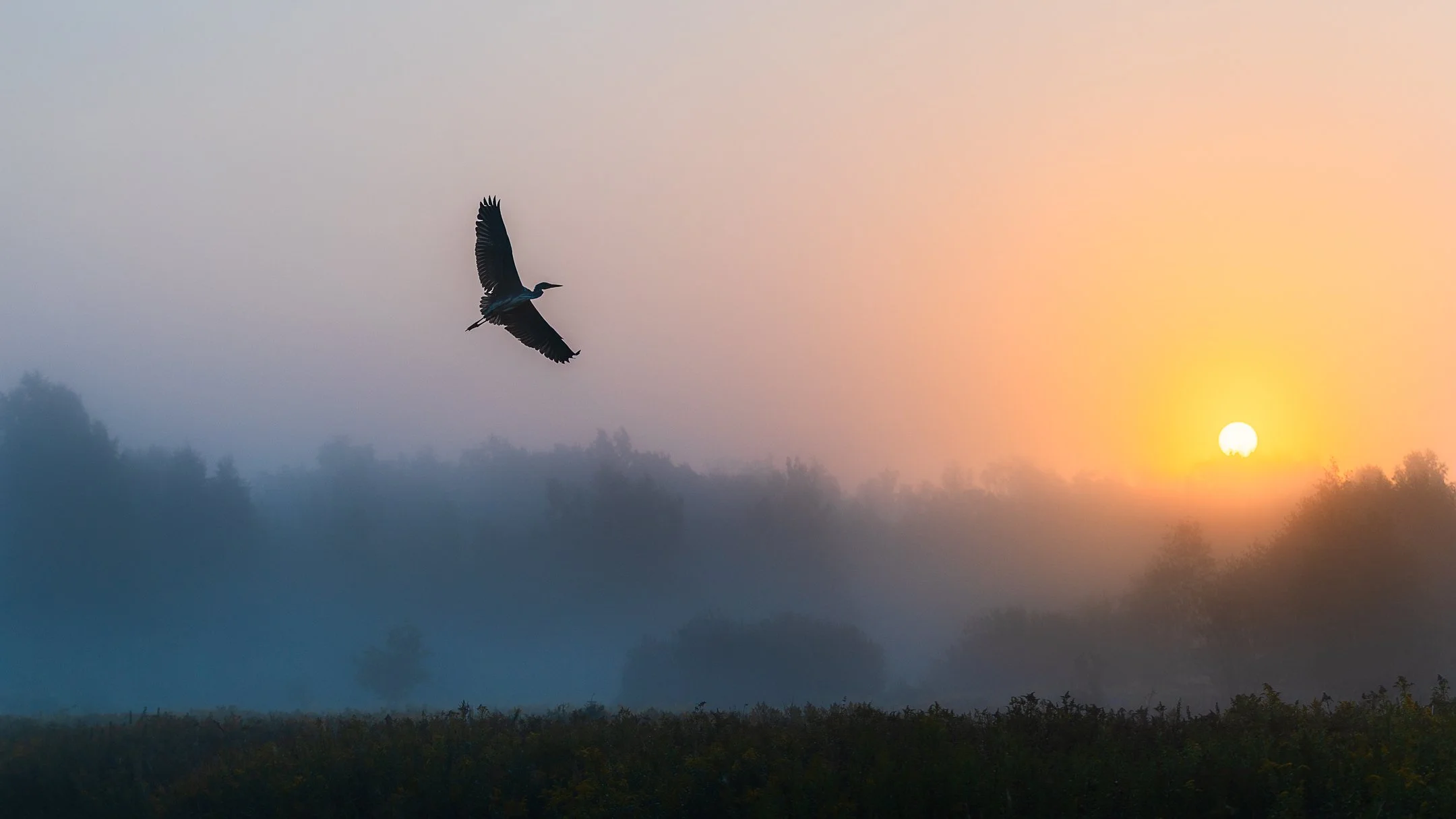 Julian Łoziński Lozinski Nature Photography Fotograf Przyrody 