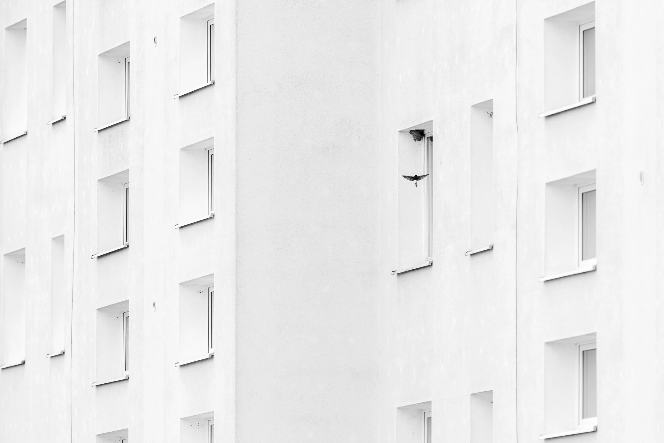 Julian Łoziński Lozinski Nature Photography Fotograf Przyrody 