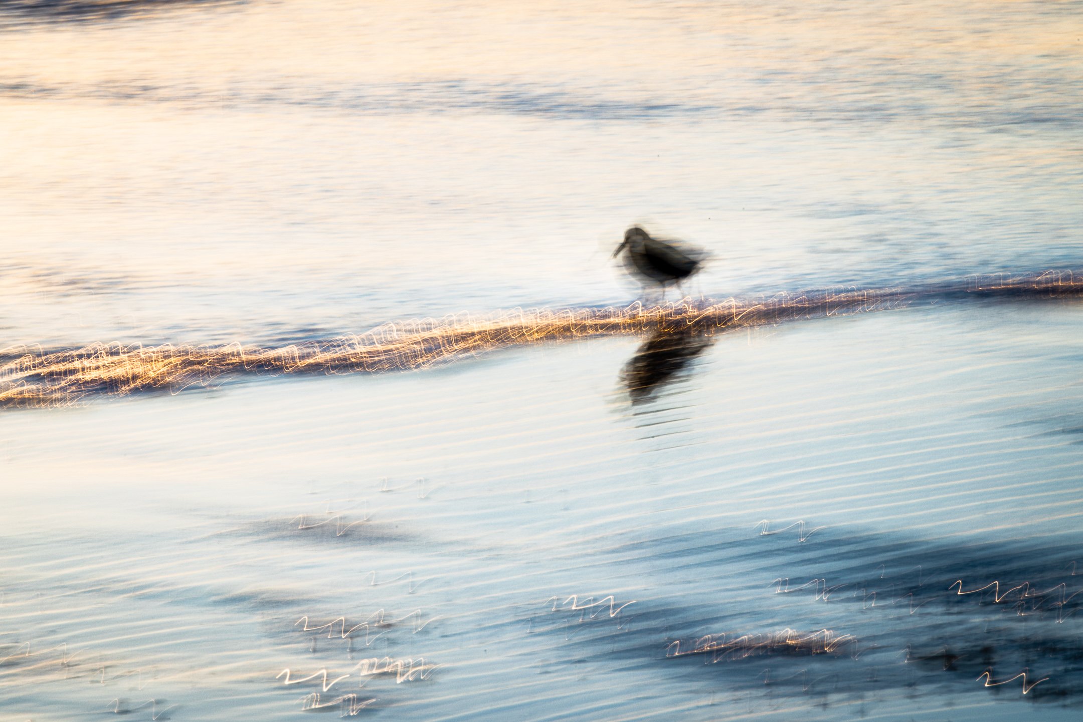 Julian Łoziński Lozinski Nature Photography Fotograf Przyrody 