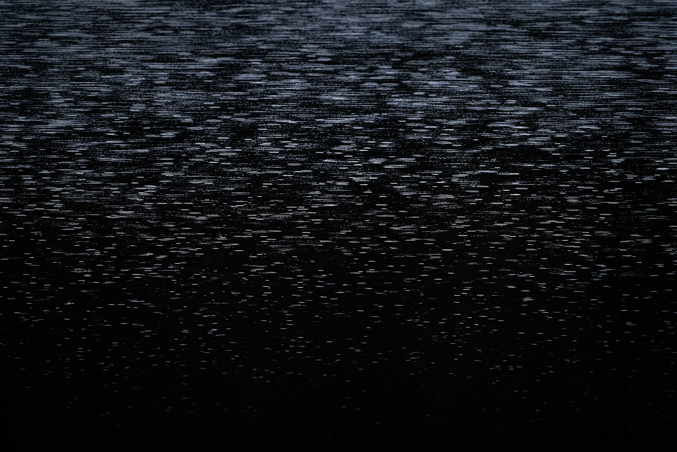 Julian Łoziński Lozinski Nature Photography Fotograf Przyrody 