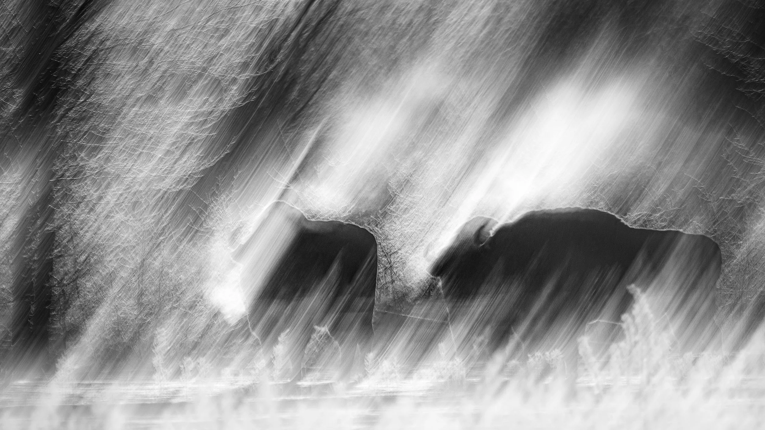 Julian Łoziński Lozinski Nature Photography Fotograf Przyrody 