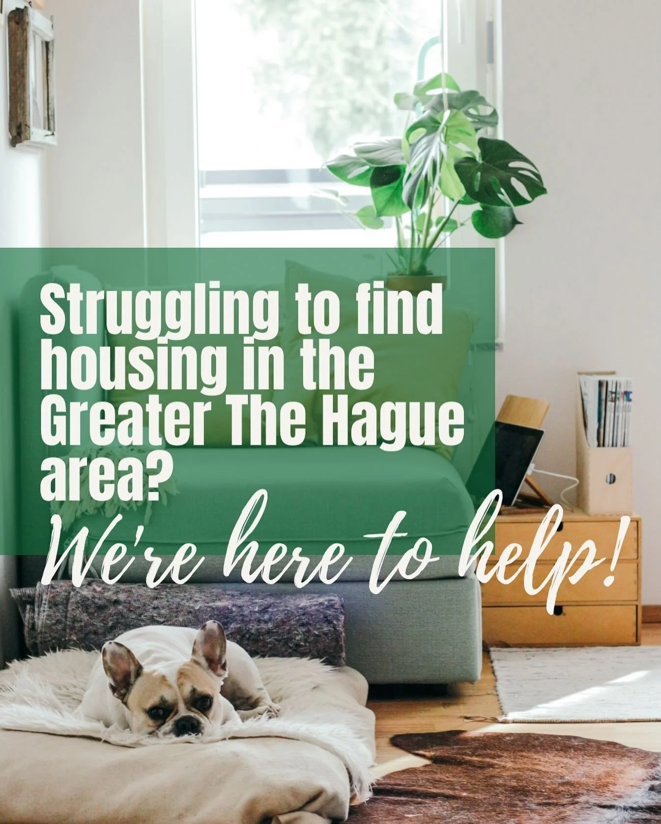 Finding a home in the Greater The Hague area shouldn&rsquo;t feel impossible, and you don&rsquo;t have to navigate it alone. 🏡✨

From scouting hidden gems to guiding you through the whole process, we make securing your next place easier, faster, and