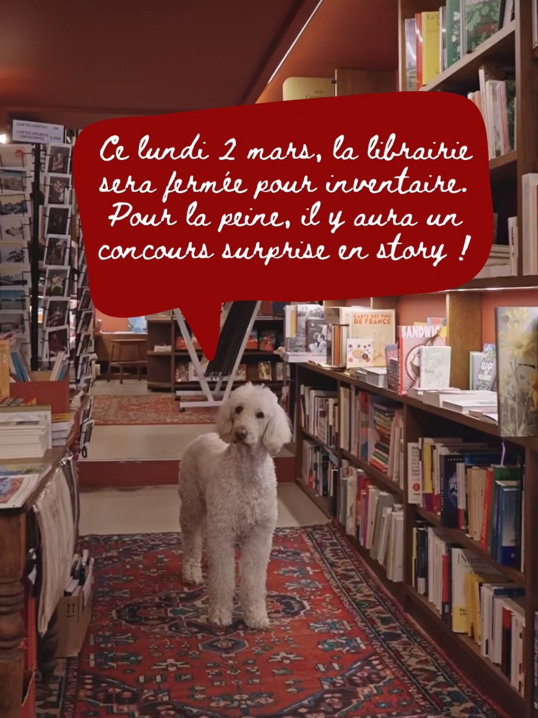 Babette a un message pour vous &hearts;️