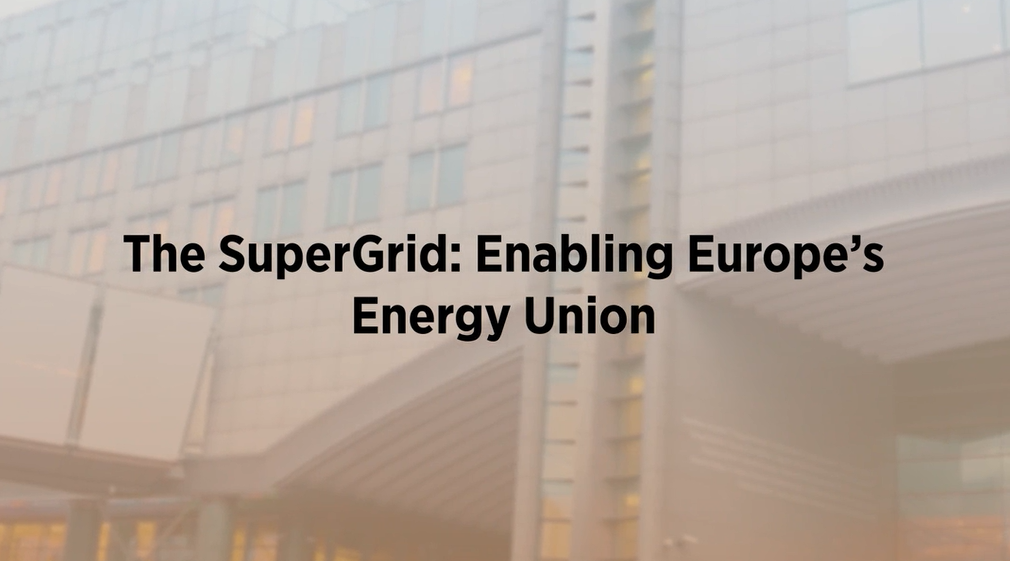 Jørgensen reiterates need for a central scenario as MEPs back European Supergrid