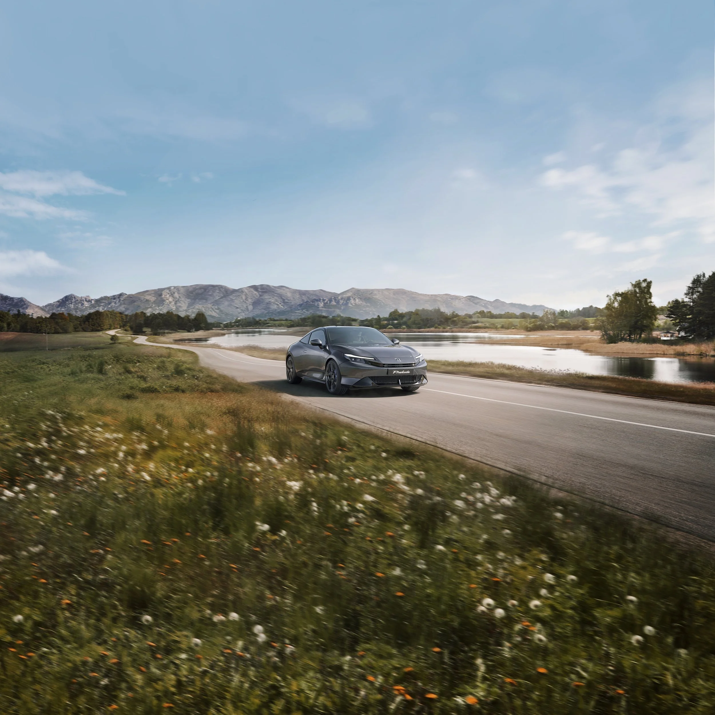 20250519_SASSY0015 V8_Web.jpg