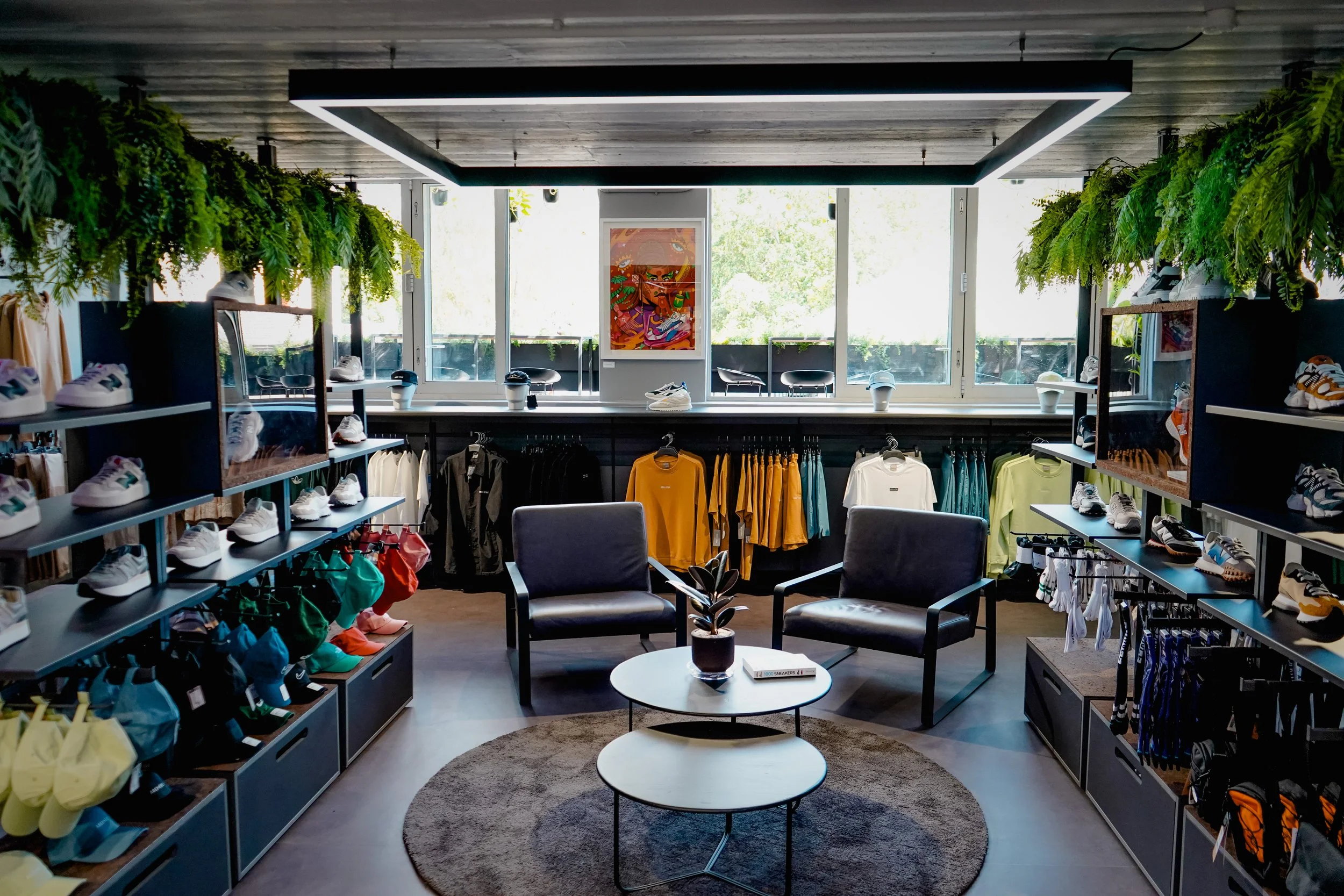 Interior of a shoe store with shelves displaying various athletic shoes, a sitting area with two black chairs, and plants hanging from the ceiling. Large windows allow natural light to fill the space.