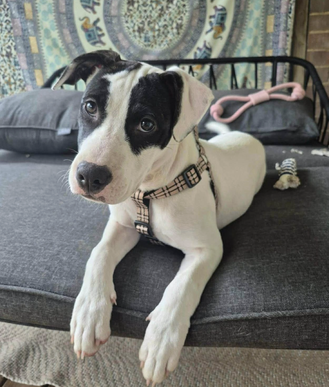 Screenshot 2026-01-27 at 9.31.35 am.png