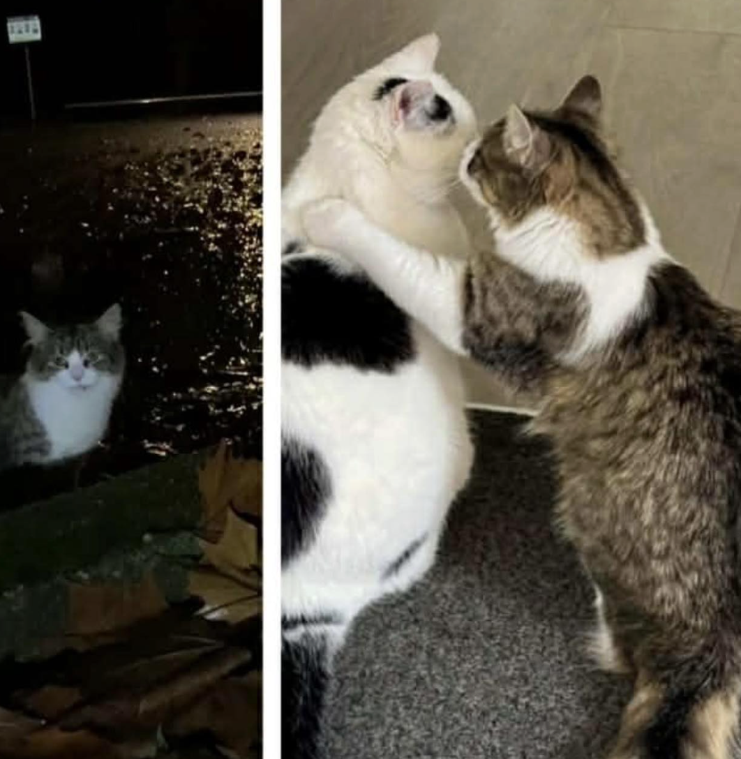 Screenshot 2025-11-26 at 6.42.16 pm.png