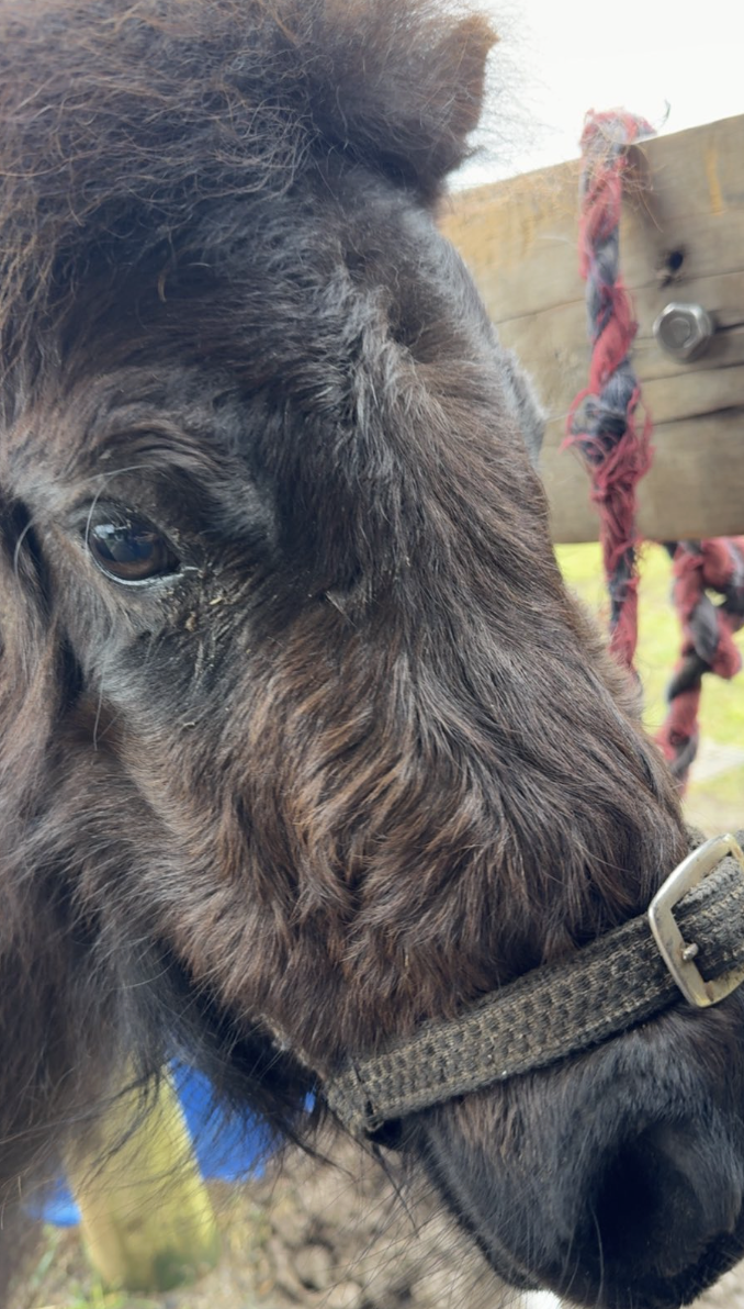 Screenshot 2025-11-26 at 6.39.05 pm.png