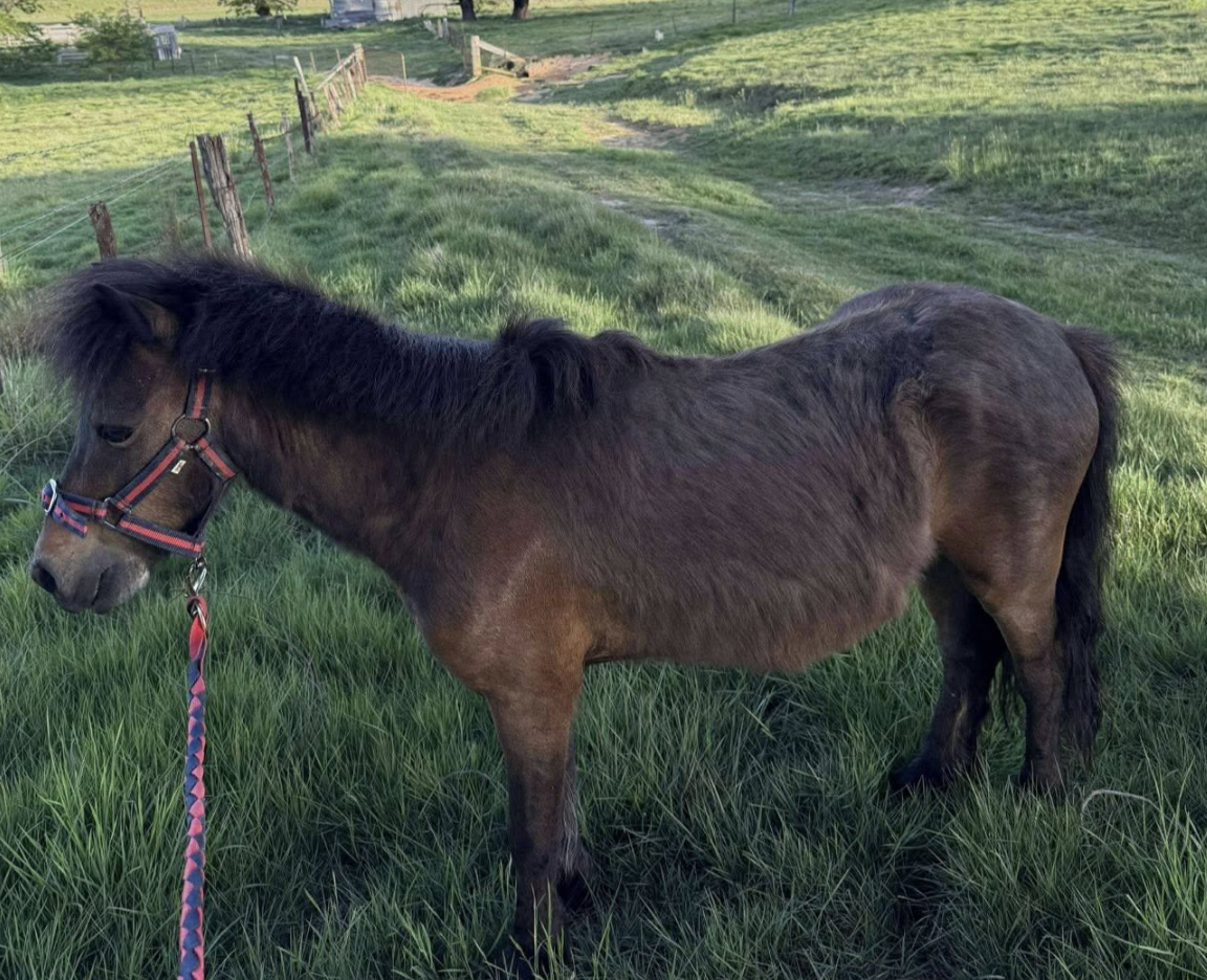 Screenshot 2025-11-26 at 6.57.57 pm.png