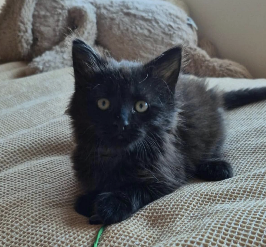 Screenshot 2026-01-23 at 10.29.31 pm.png