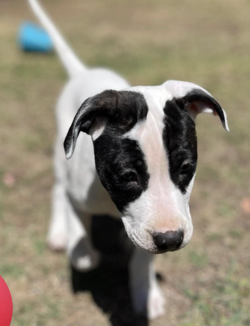 Screenshot 2026-01-23 at 10.25.18 pm.png