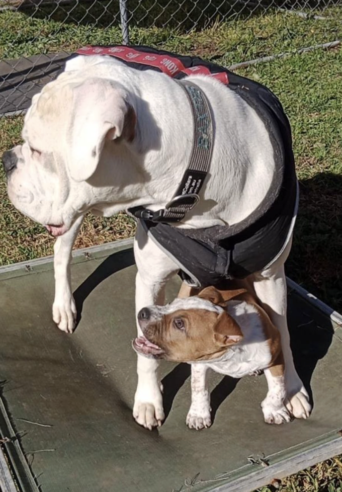 Screenshot 2025-11-26 at 7.01.08 pm.png