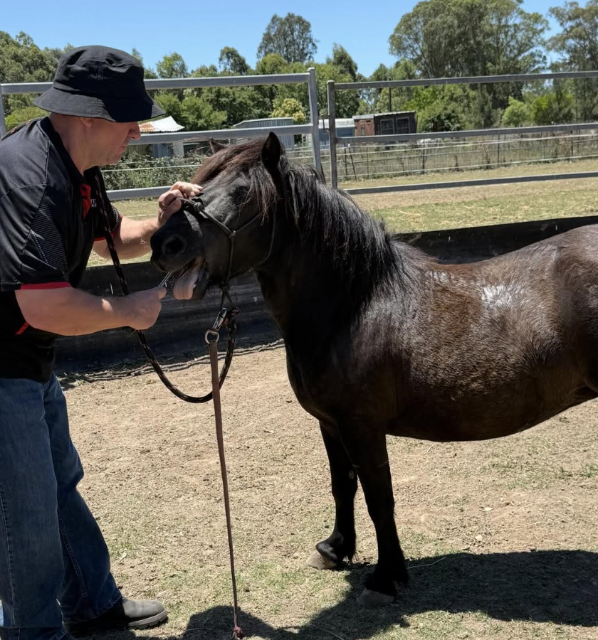 Screenshot 2026-01-23 at 10.21.33 pm.png