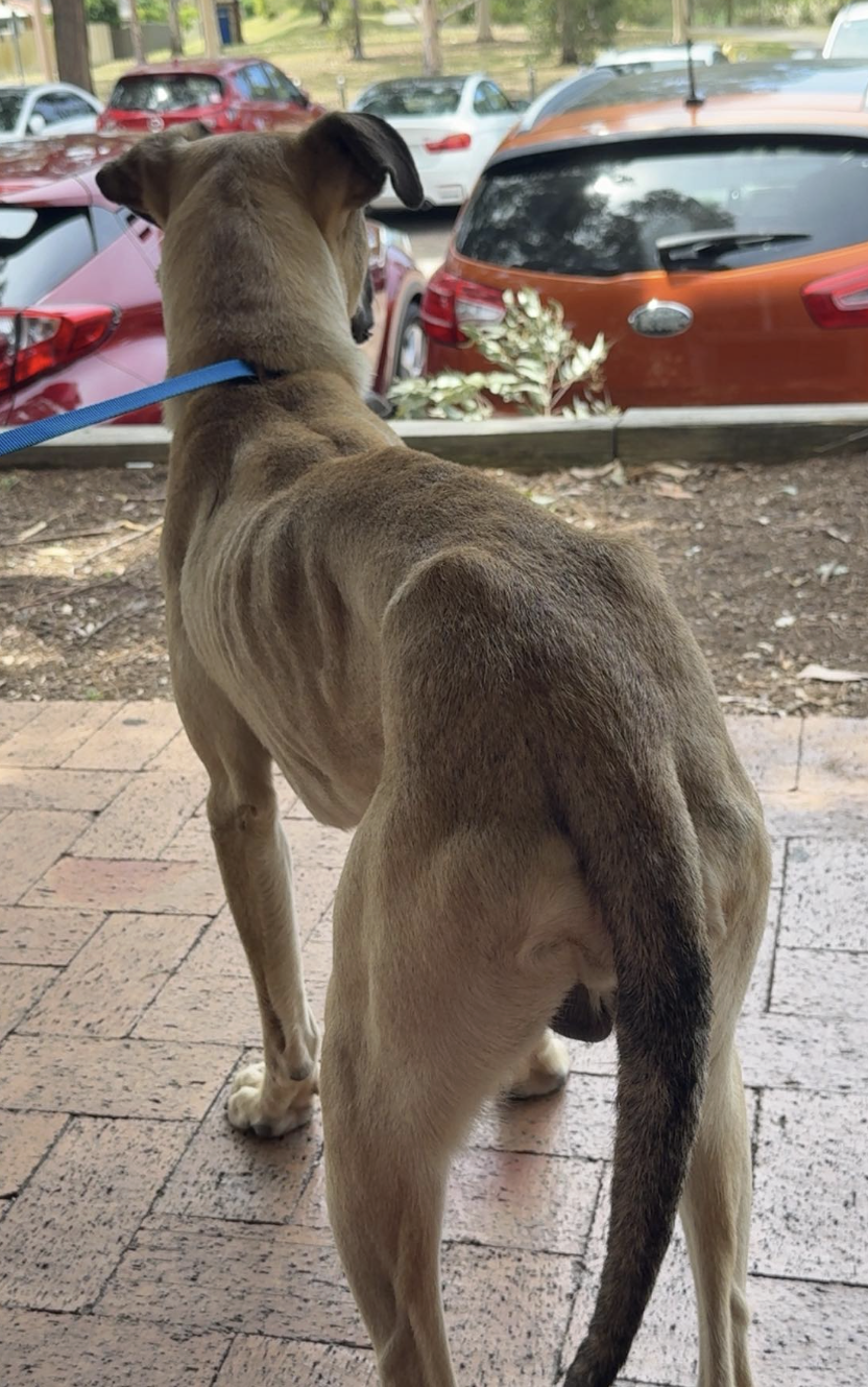 Screenshot 2025-11-26 at 6.42.03 pm.png