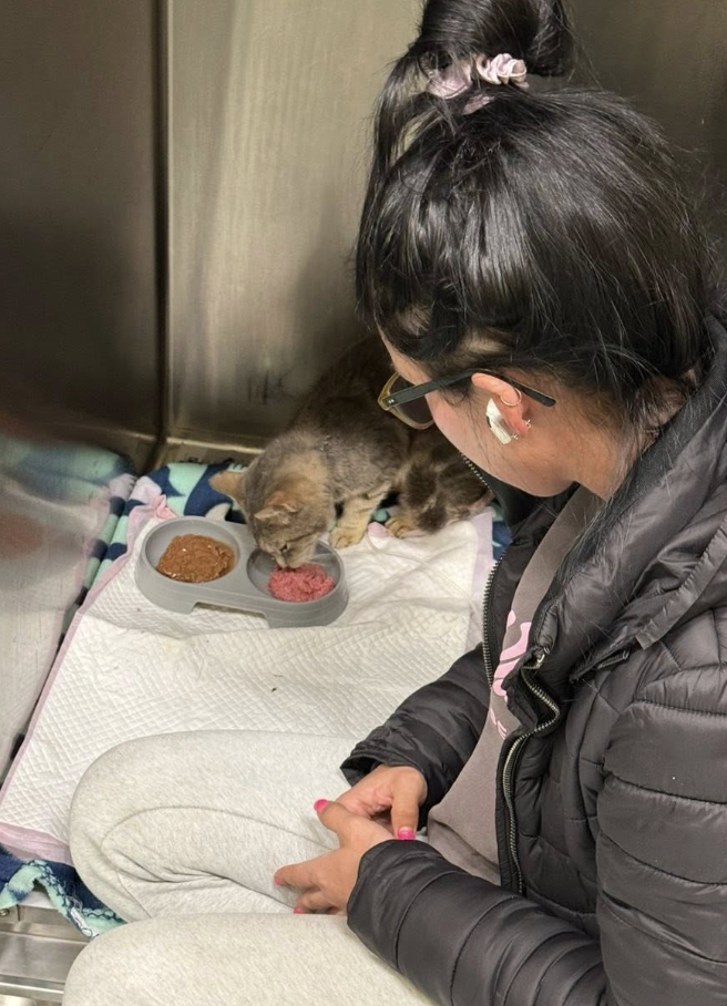 Screenshot 2025-11-26 at 6.05.03 pm.png