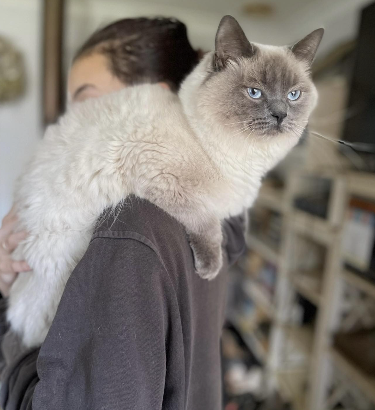 Screenshot 2026-01-19 at 10.15.51 am.png