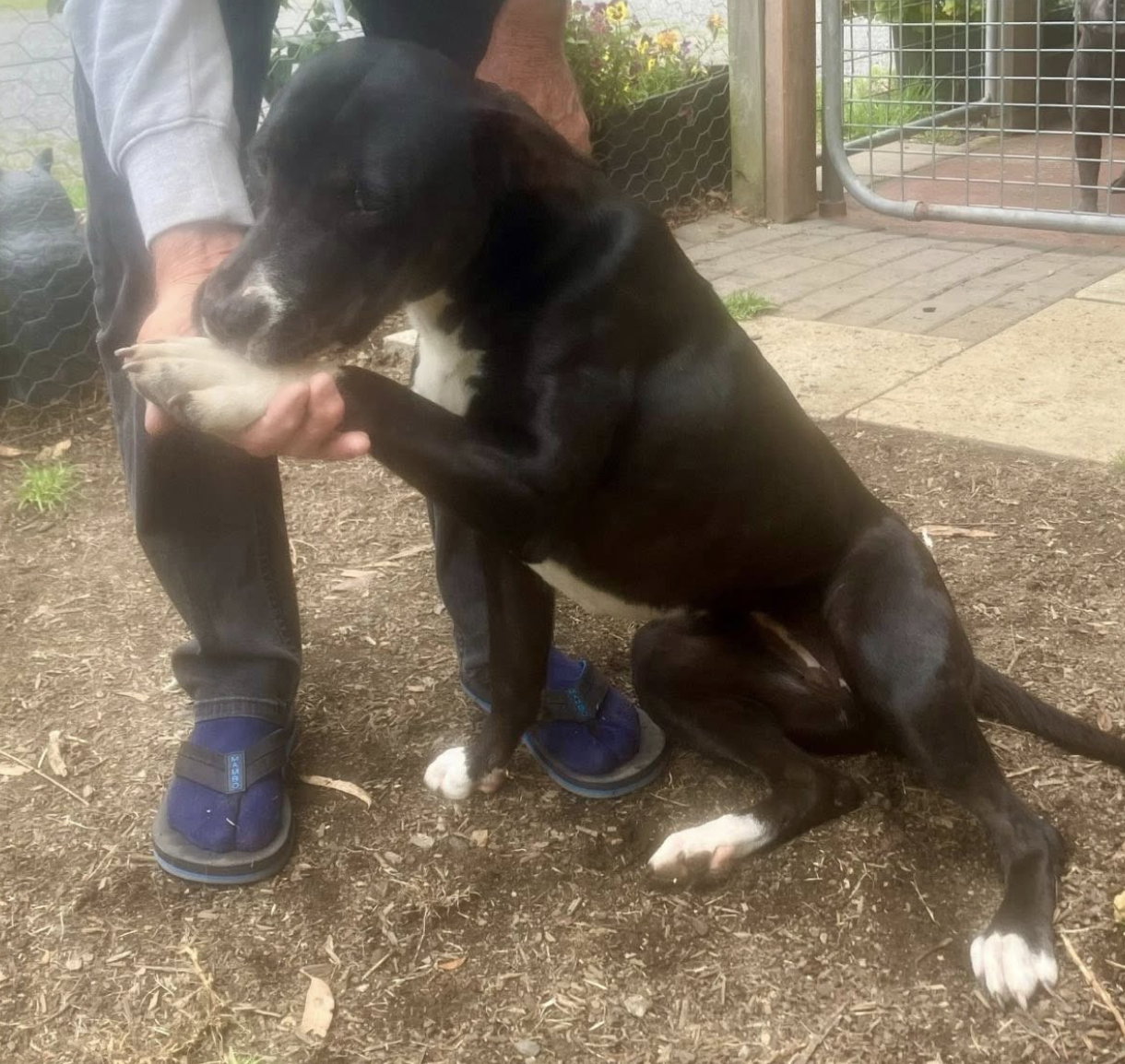 Screenshot 2026-01-27 at 9.32.23 am.png