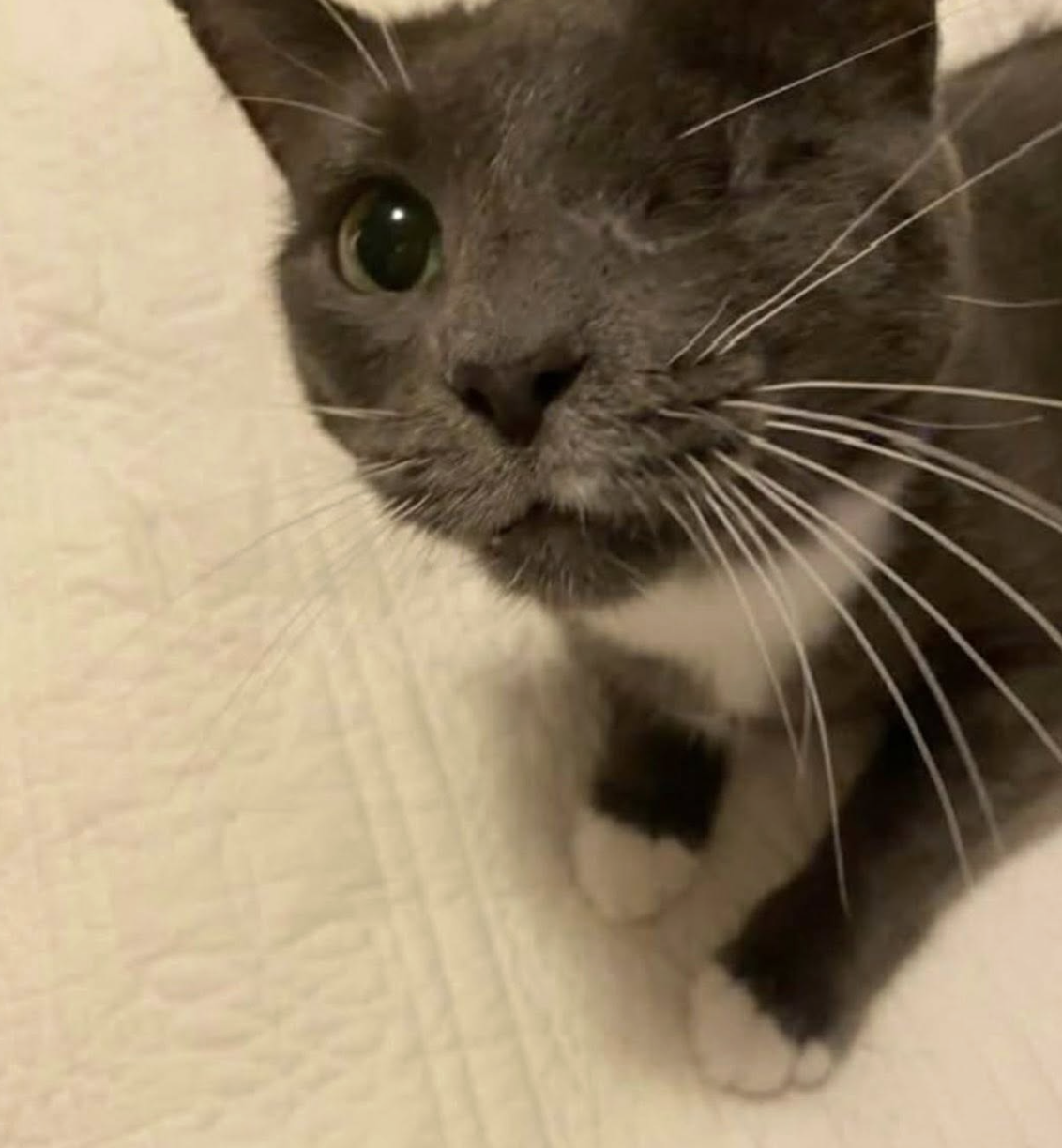 Screenshot 2026-01-23 at 11.07.39 pm.png