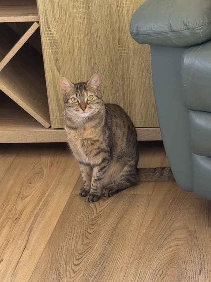 Screenshot 2025-11-22 at 10.05.00 pm.png