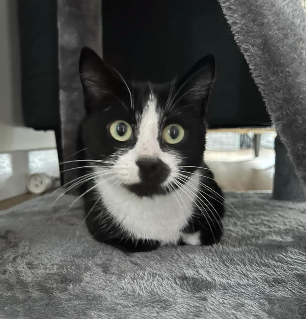 Screenshot 2026-01-23 at 10.50.05 pm.png