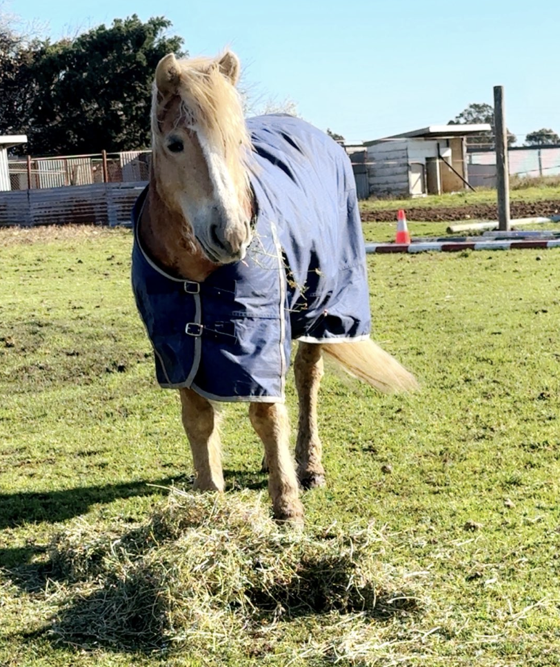 Screenshot 2025-11-26 at 7.00.04 pm.png