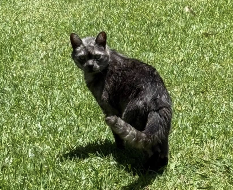 Screenshot 2026-01-23 at 11.18.49 pm.png