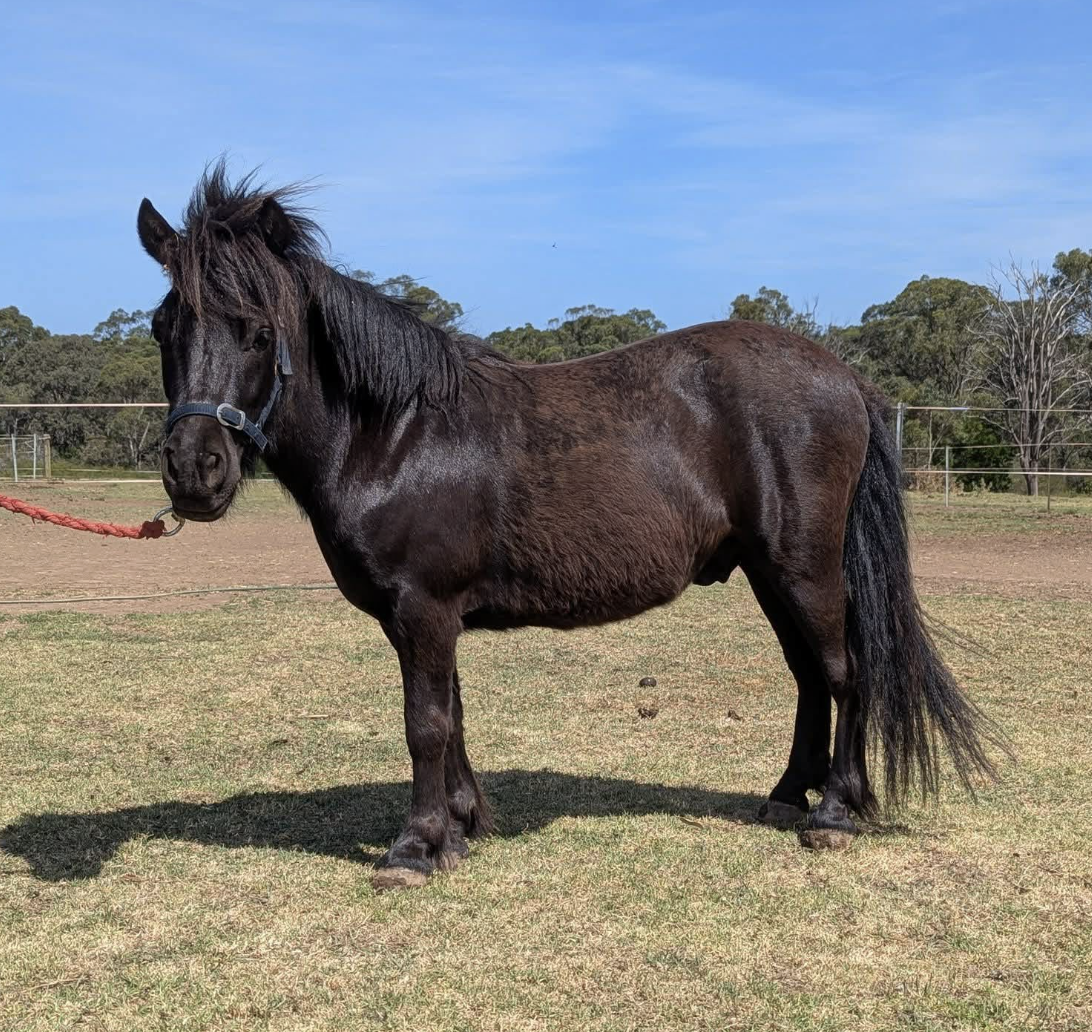 Screenshot 2026-04-03 at 9.14.42 pm.png