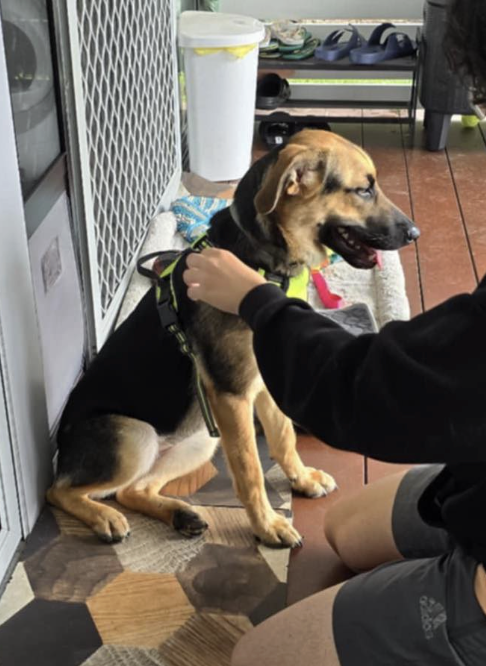 Screenshot 2026-01-23 at 10.53.41 pm.png